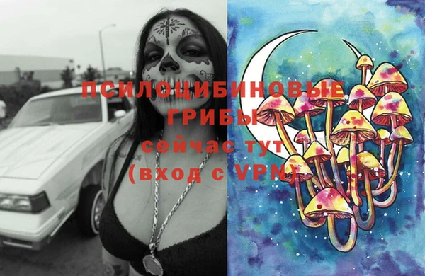 мяу мяу мука Балахна
