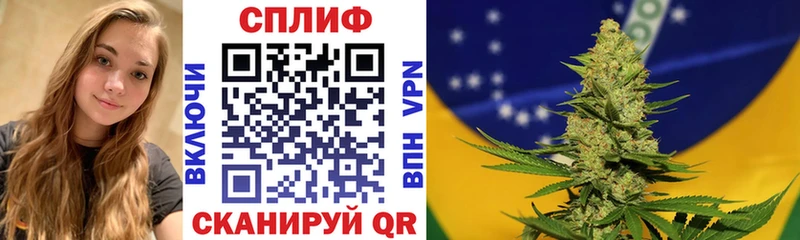 KRAKEN tor  Болохово  Бошки марихуана семена 